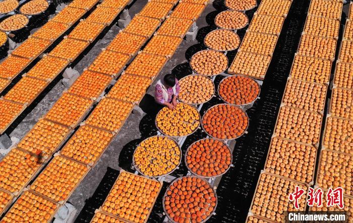 線上賭場：（鄕村行·看振興）廣西恭城“豐”景如畫 高鉄助推“柿業”紅火