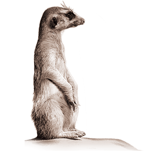 上海新金融研究院副院长刘晓春专栏：下一步推进数字人民币要优先考量哪些问题？