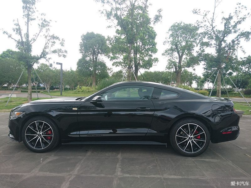 {賭馬}(野马黑帅汽车多少钱一台) {賭馬}(野马黑帅汽车多少钱一台)